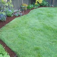 mulch4