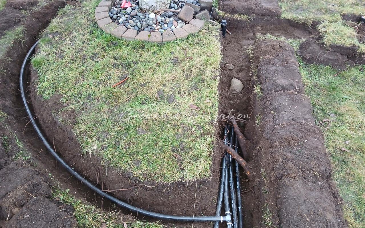 roots in trench multiple pipes far