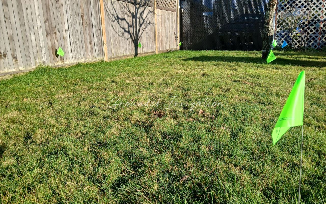 sunny lawn green flag